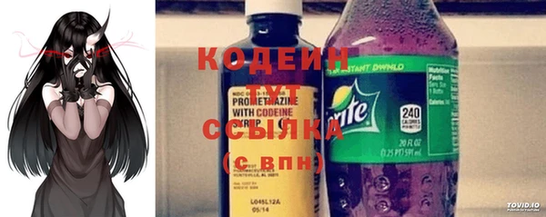 прущие грибы Касимов