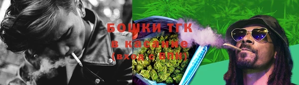 прущие грибы Касимов