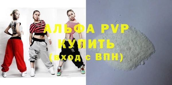 прущие грибы Касимов