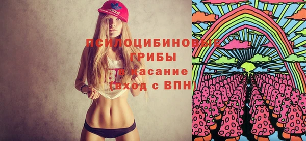 прущие грибы Касимов