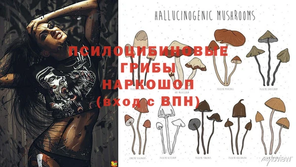 бошки Карталы