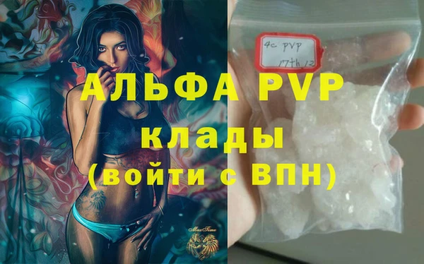 прущие грибы Касимов