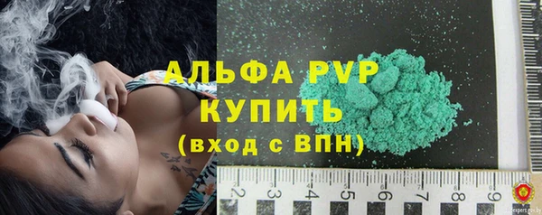 прущие грибы Касимов