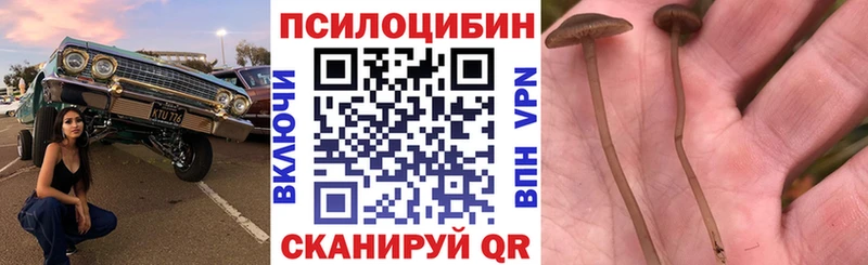 Галлюциногенные грибы Psilocybine cubensis  Купить закладки  Микунь 